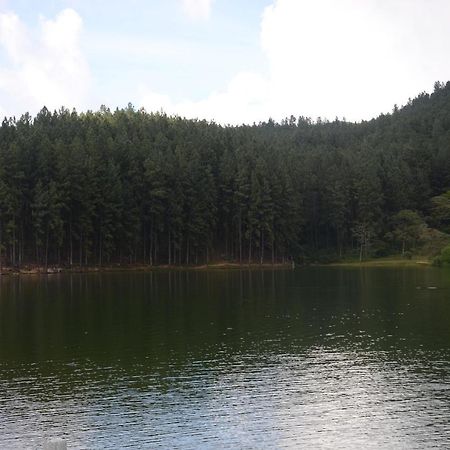 Spiritual Nature Farm - Sri Lanka 马特莱 外观 照片