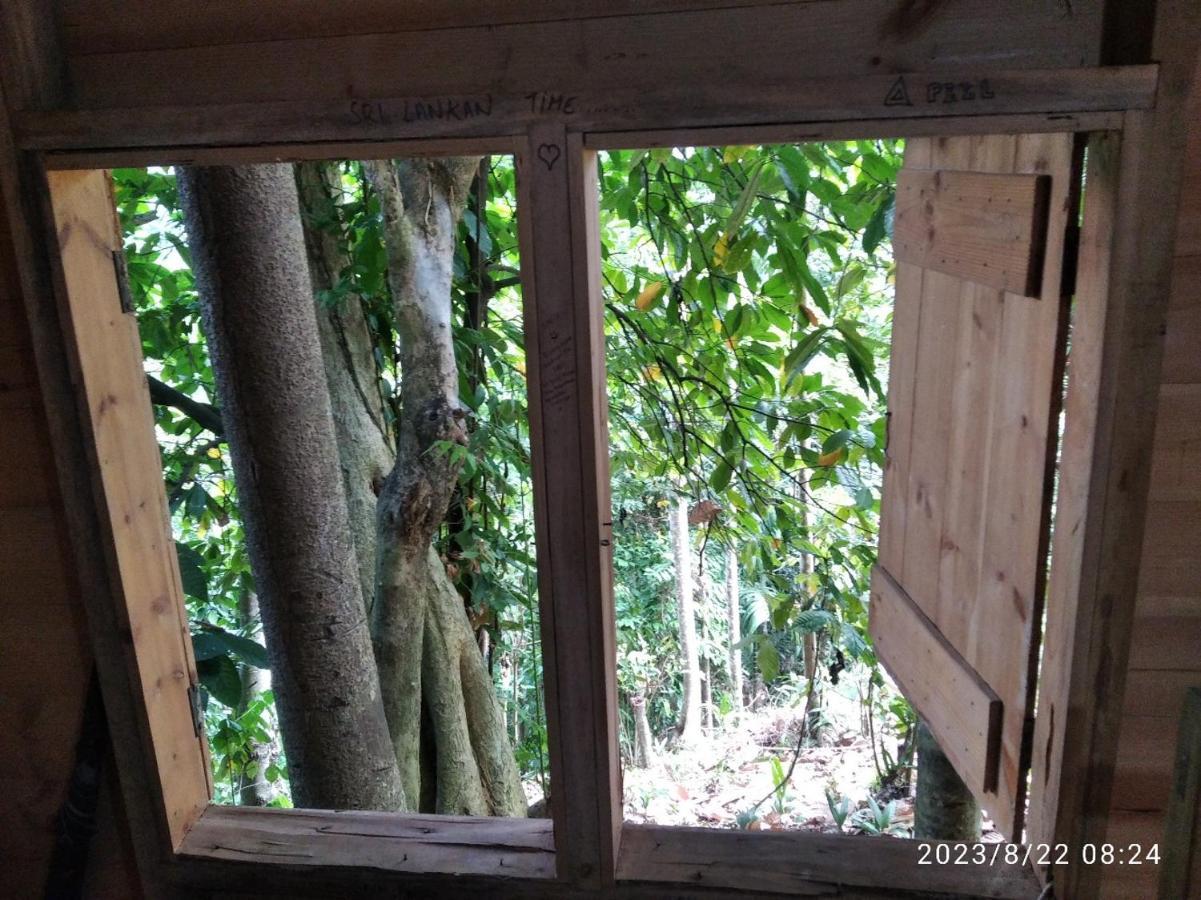 Spiritual Nature Farm - Sri Lanka 马特莱 外观 照片