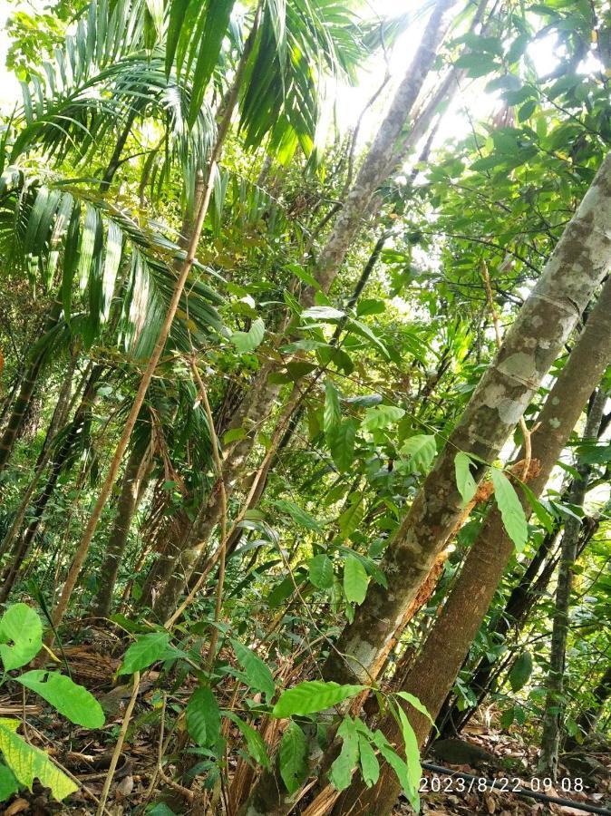 Spiritual Nature Farm - Sri Lanka 马特莱 外观 照片