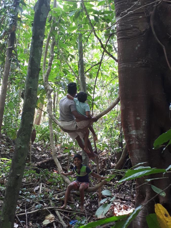 Spiritual Nature Farm - Sri Lanka 马特莱 外观 照片