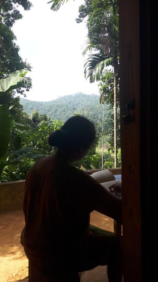 Spiritual Nature Farm - Sri Lanka 马特莱 外观 照片