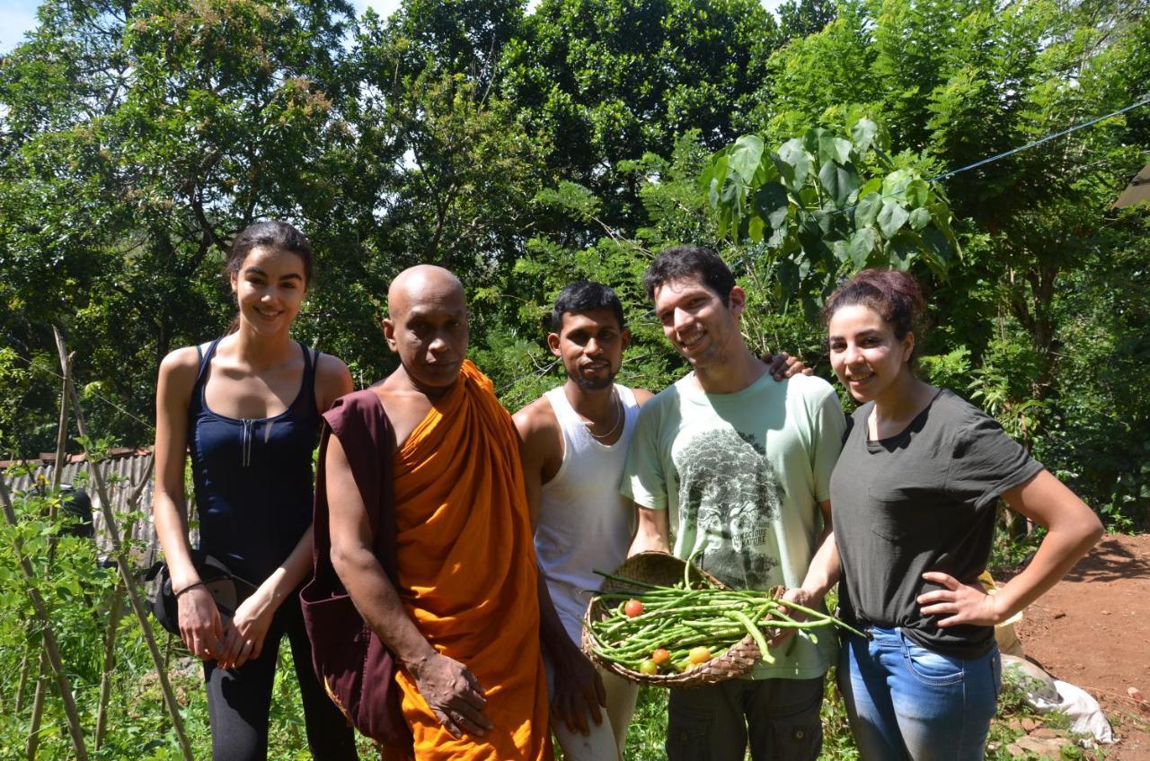 Spiritual Nature Farm - Sri Lanka 马特莱 外观 照片