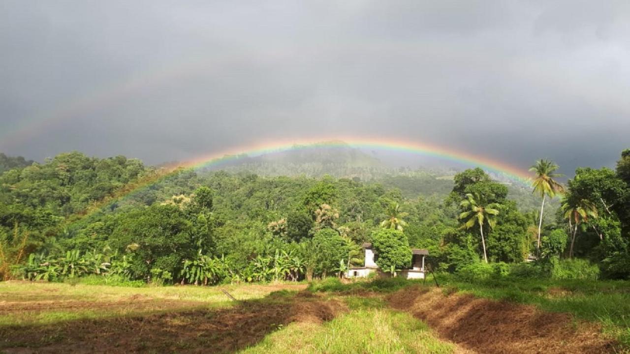 Spiritual Nature Farm - Sri Lanka 马特莱 外观 照片